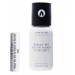 A Lab On Fire What We Do In Paris Is Secret monsters 2ml