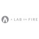 A Lab On Fire Staaltjes
